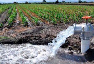 Entrega Conagua 8 títulos de concesión a agricultores de Atenco